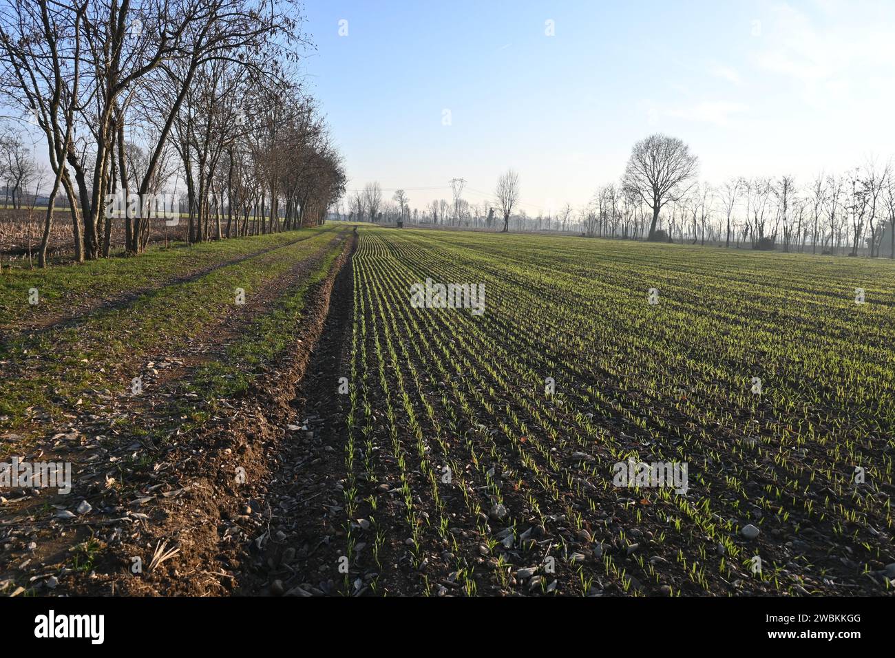 Anbau Stockfoto