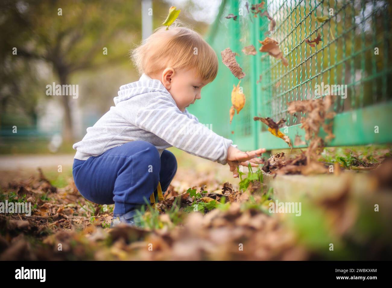 Ein junges, neugieriges Kind streckt seine winzigen Finger aus und sehnt sich danach, die gefallenen Blätter zu fassen, und taucht in den Zauber der Natur ein Stockfoto