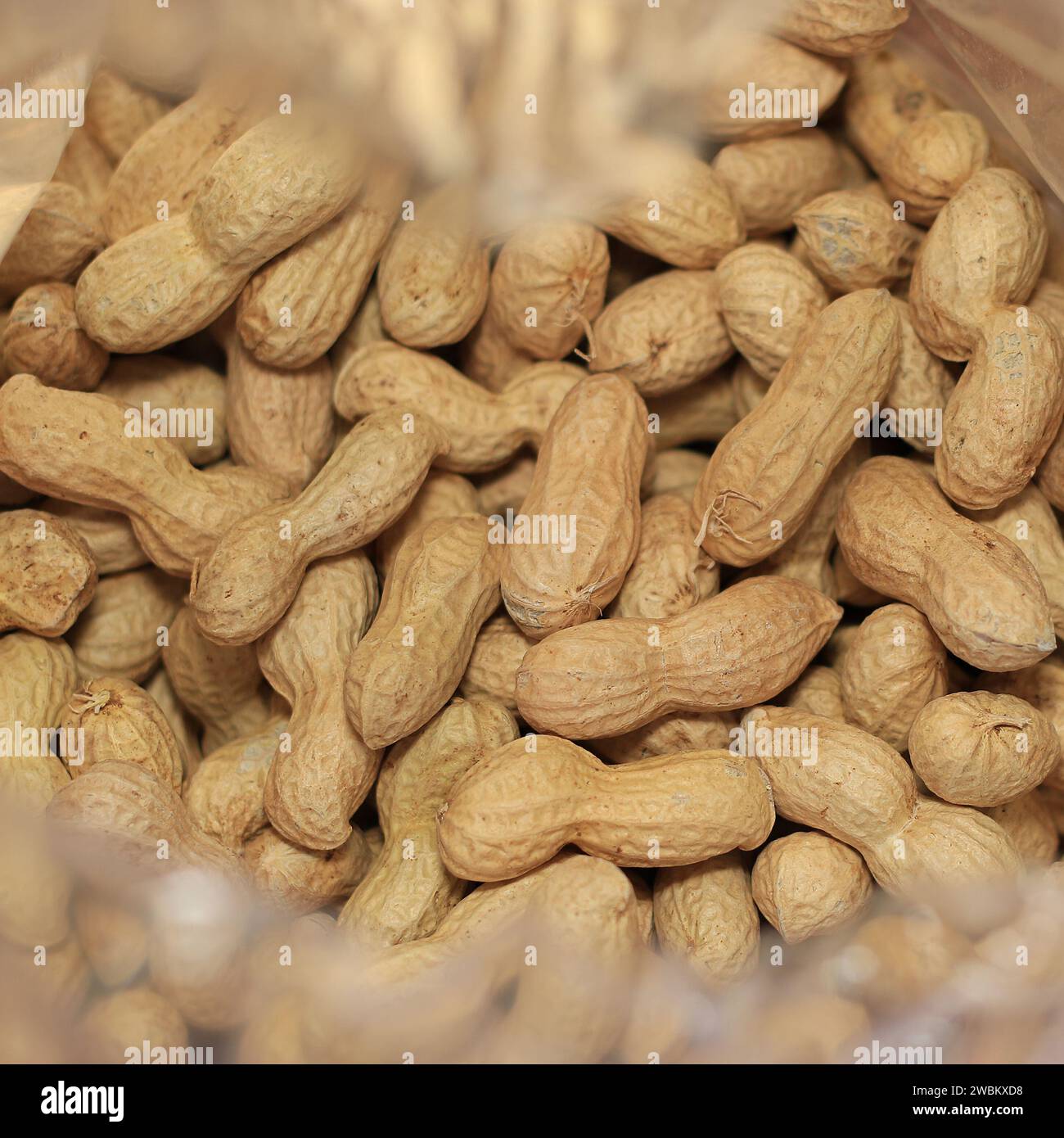 Eine Nylontasche mit Erdnüssen in Schale. Stockfoto