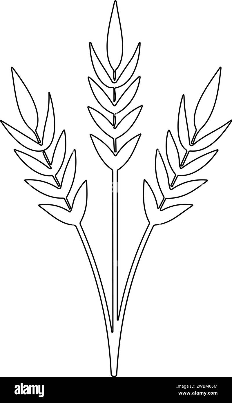 Bunche aus Weizen oder Roggen mit Vollkorn. Symbol für Weizenkranz und Kornspitzen. Vektorabbildung Stock Vektor