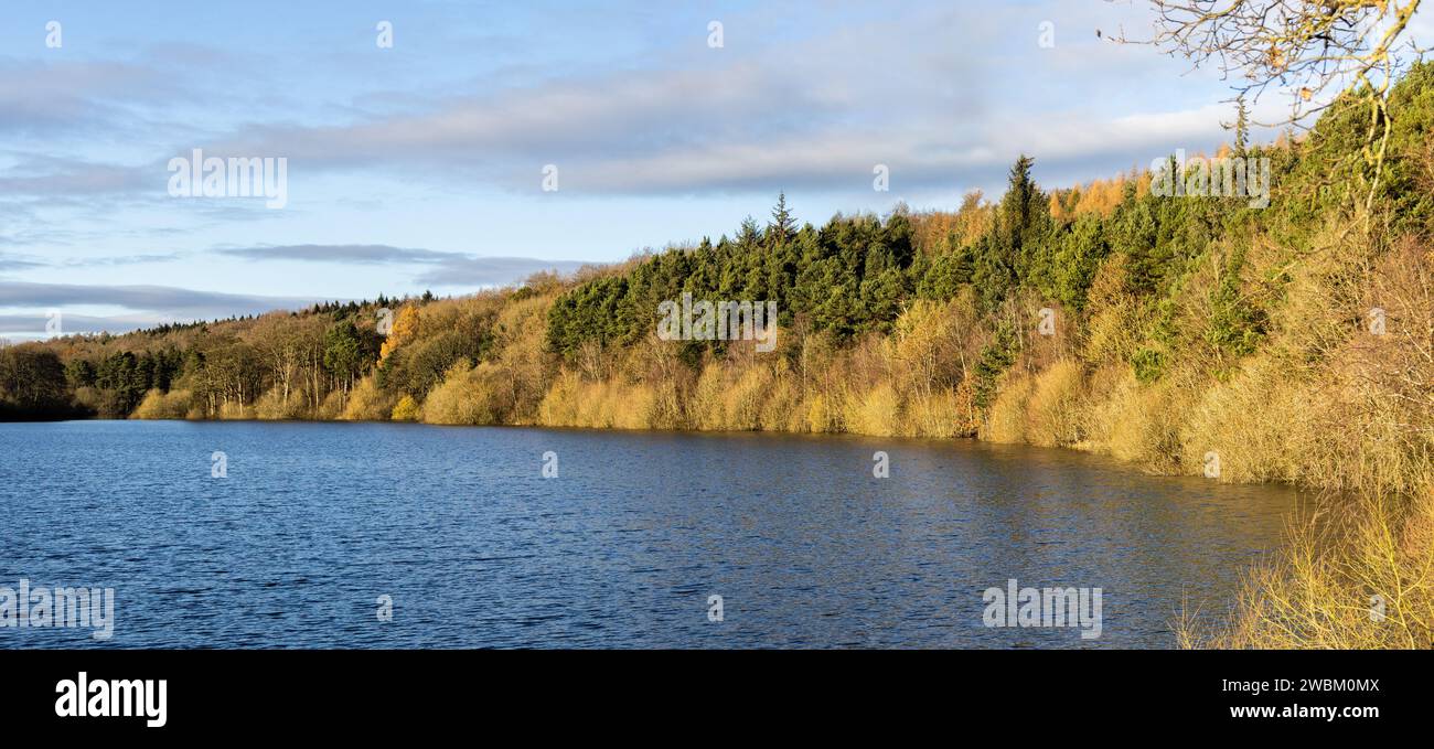 Hohe Wasserstände im Winter 2024 im Swinsty Reservoir, Harrogate, North Yorkshire, Vereinigtes Königreich Stockfoto