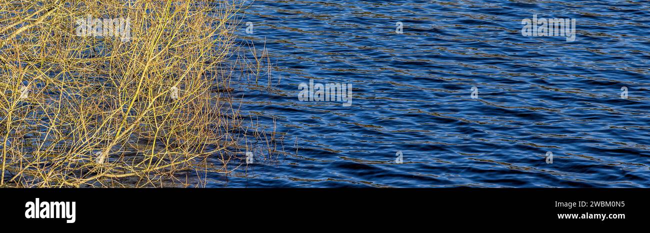 Hintergrundbanner Bilder Laub und Rippelwasser, Vereinigtes Königreich Stockfoto