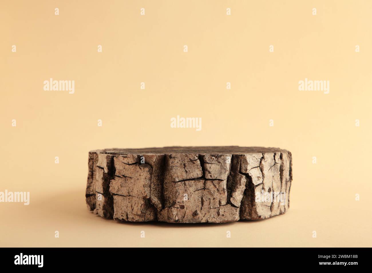 Holzstumpf auf beigefarbenem Hintergrund. Querschnitt des Baumstamms, Platz für Text. Draufsicht Stockfoto