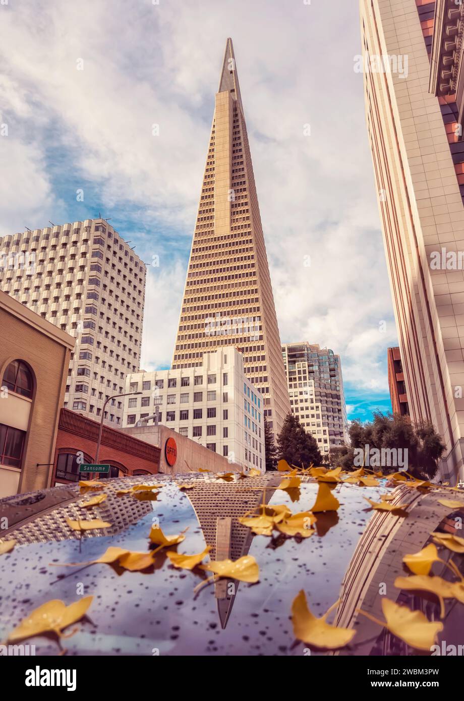 San Franciscos Wahrzeichen, das Transamerica Building, an einem Herbstmorgen. Stockfoto