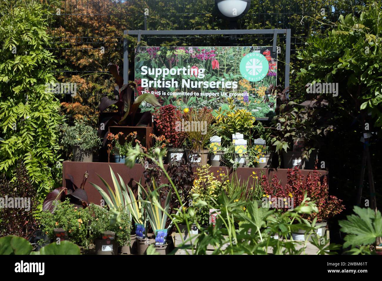 Garden Centre Schild zur Unterstützung der britischen Baumschulen Wisley RHS Gardens Surrey England Stockfoto