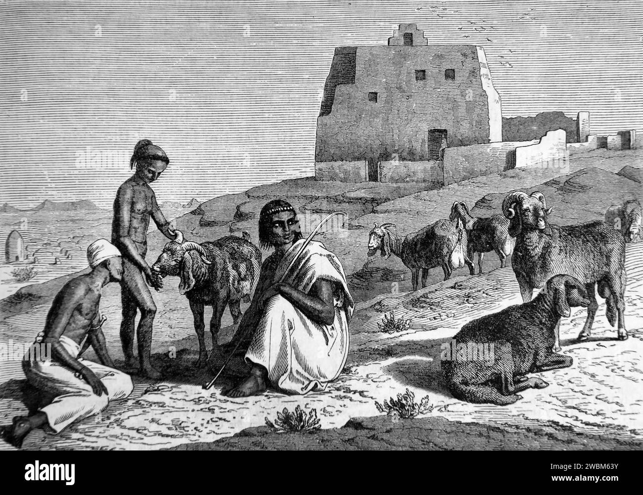 Holzgravierung von Bauern mit Rams, die von Moses für die Brandopfer Leviticus aus der illustrierten Familienbibel mitgebracht wurden Stockfoto