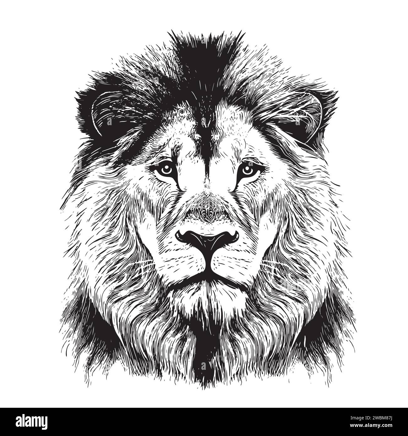 Löwe Porträt Löwenkopf Skizze Hand gezeichnet Gravur Stil Wild Tiere Vektor Illustration Stock Vektor