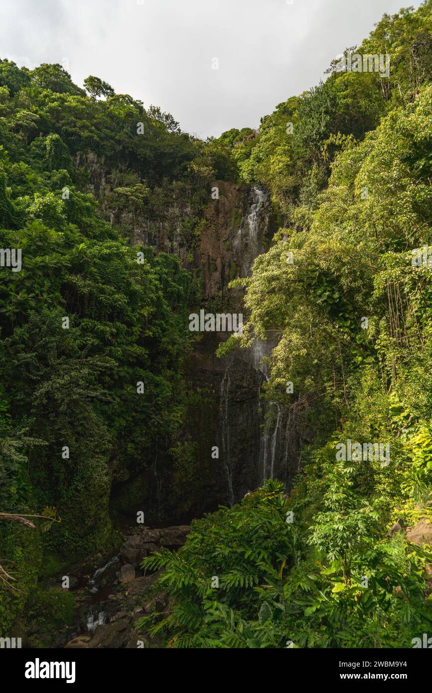 Die majestätischen Wailua Falls in Maui, Hawaii, ein ruhiges tropisches Paradies, perfekt für Naturliebhaber. Stockfoto