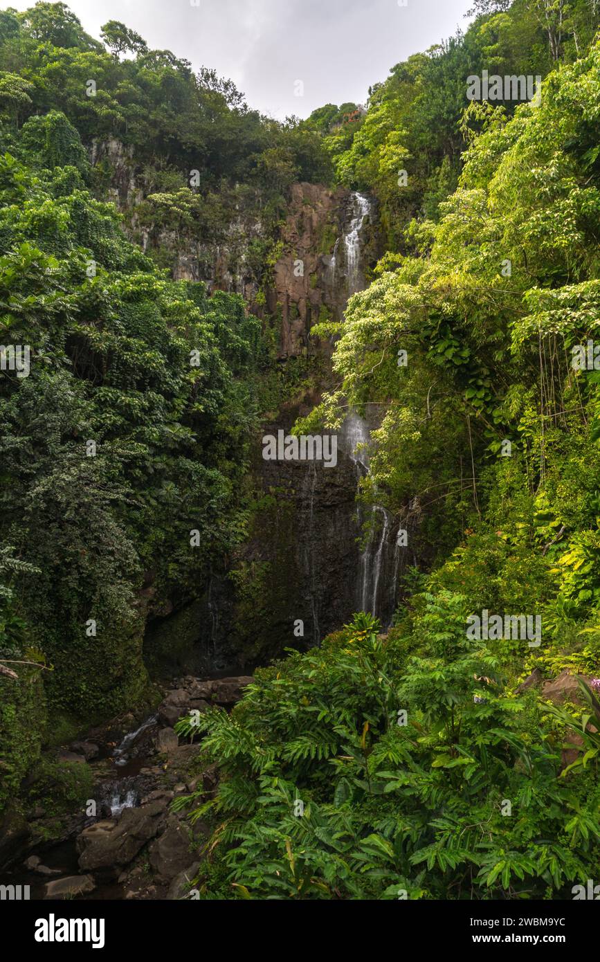 Die majestätischen Wailua Falls in Maui, Hawaii, ein ruhiges tropisches Paradies, perfekt für Naturliebhaber. Stockfoto