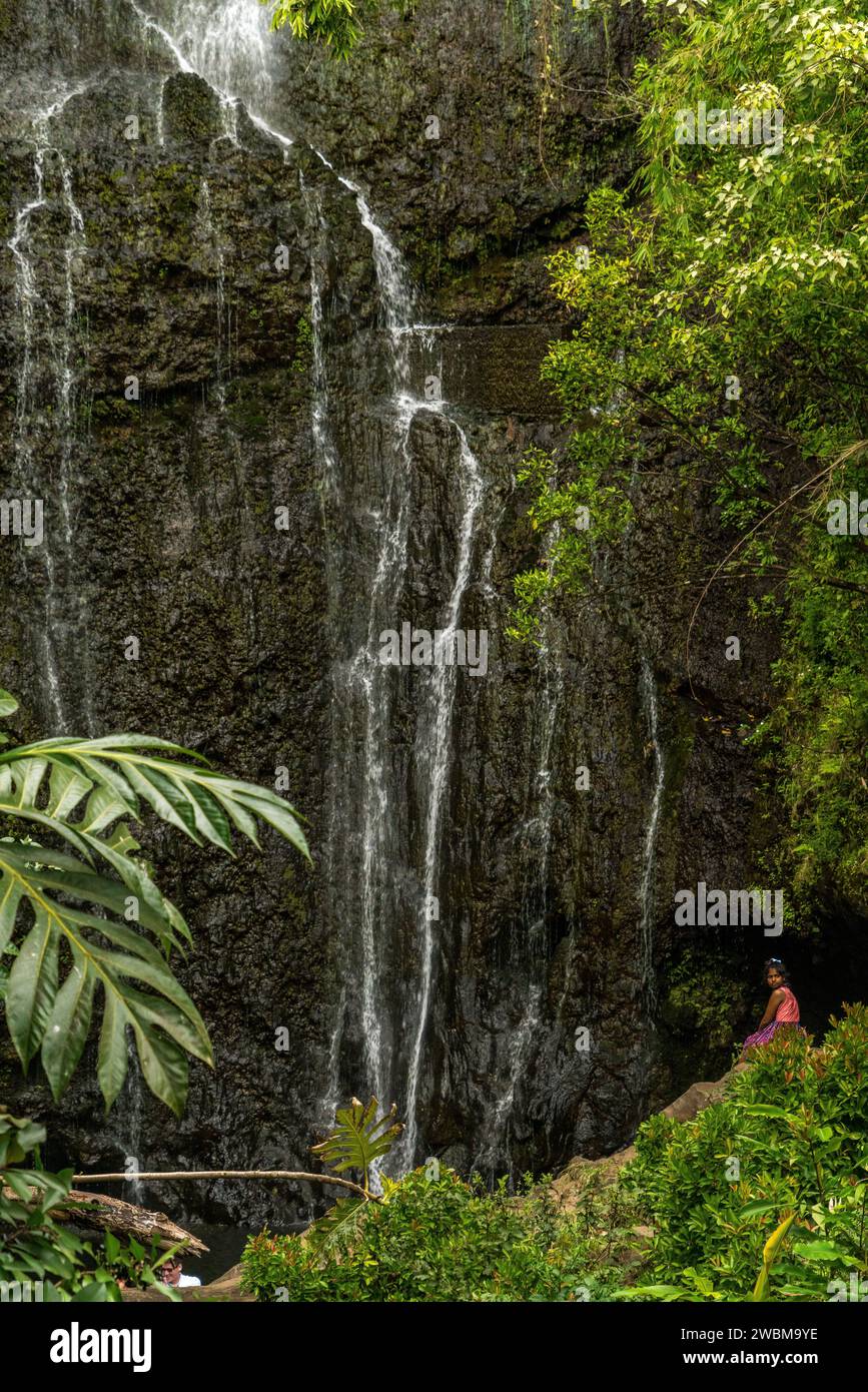 Die faszinierenden Wailua Falls auf Maui, umgeben von grünem tropischem Grün, locken Naturliebhaber und Abenteurer gleichermaßen. Stockfoto