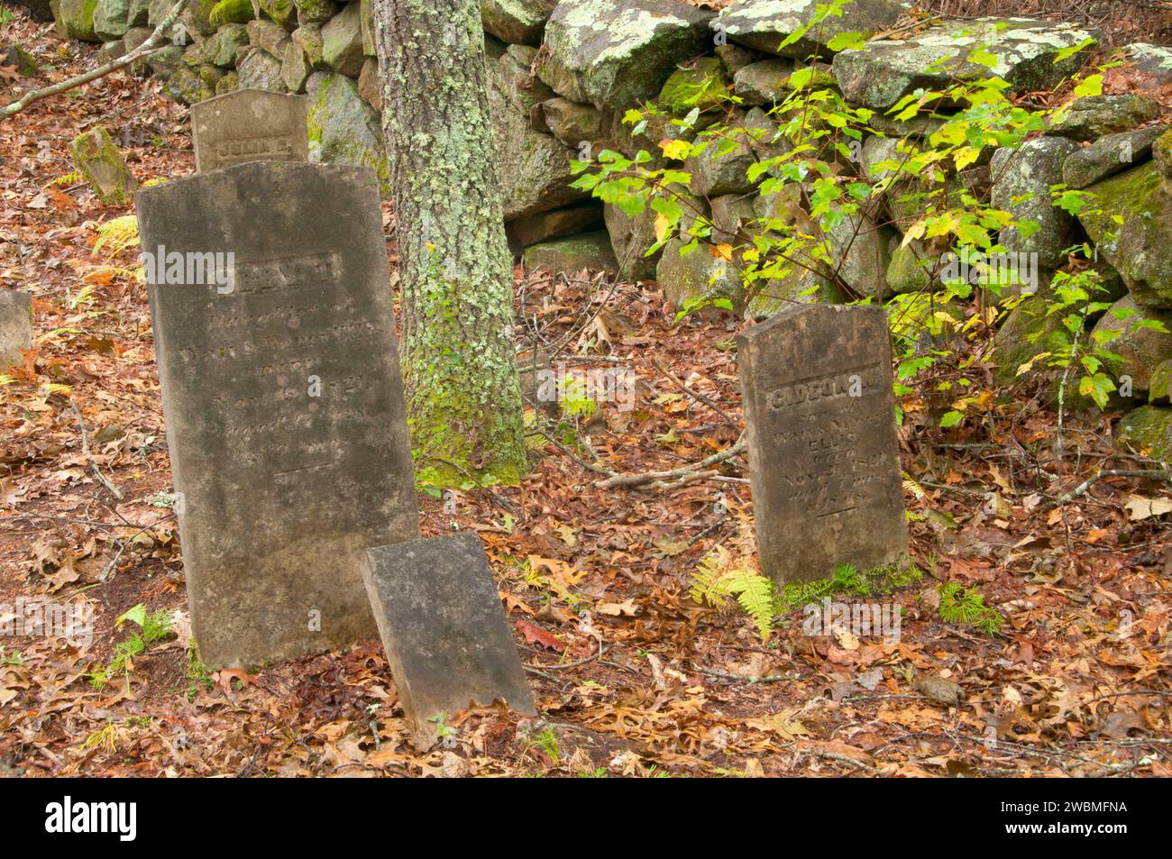 Waite Ellis Friedhof, Tillinghast Teich Verwaltungsbereich, West Greenwich, Rhode Island Stockfoto