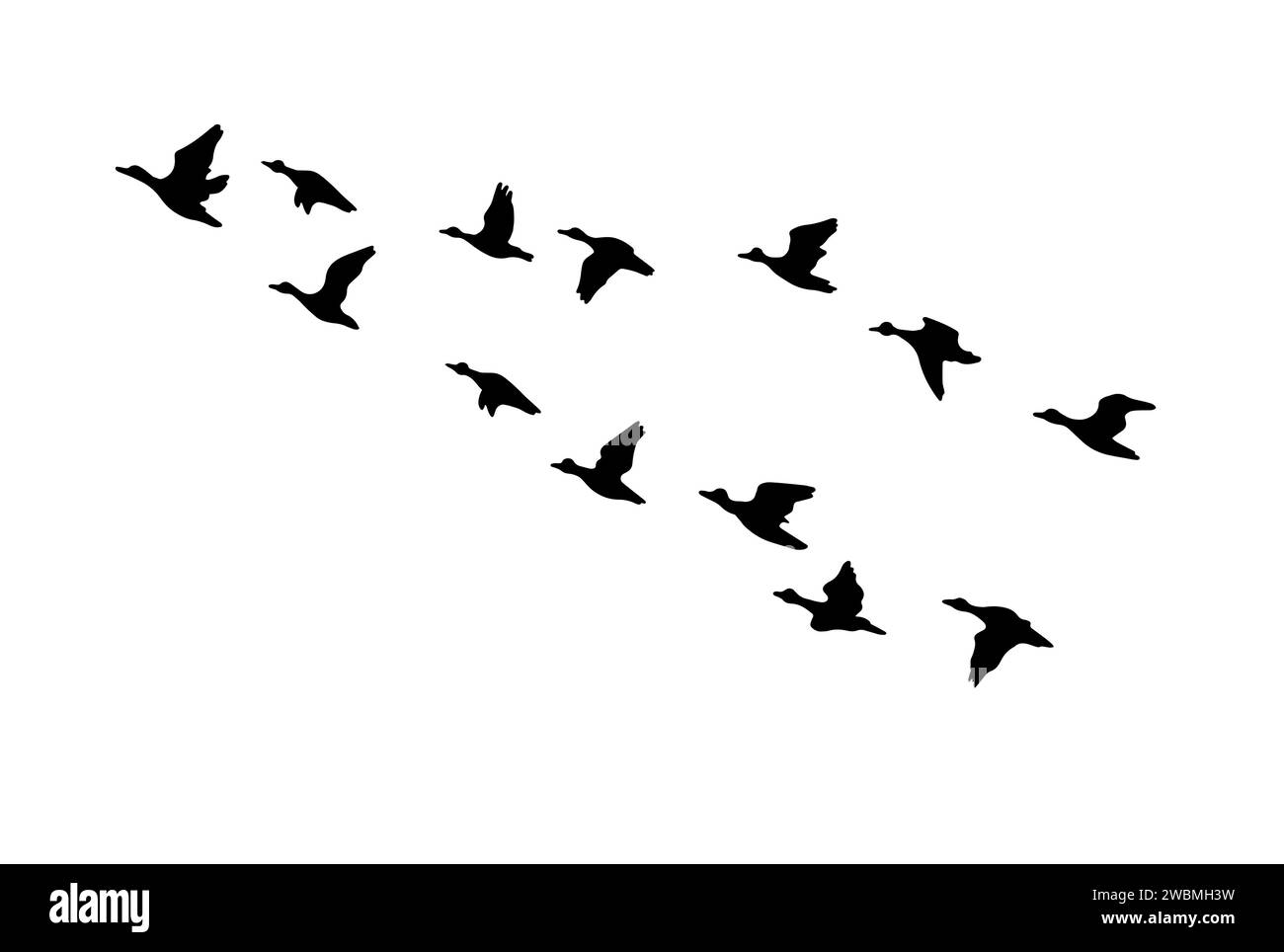 Silhouette fliegenden Enten. Handzeichnung. Nicht AI, Vektorillustration Stock Vektor