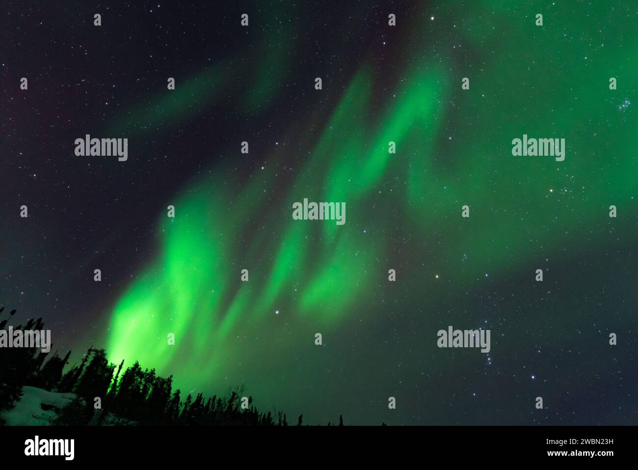 Aurora Borealis, Northern Lights, in Yellowknife, Nordwest Territories, Kanada Stockfoto