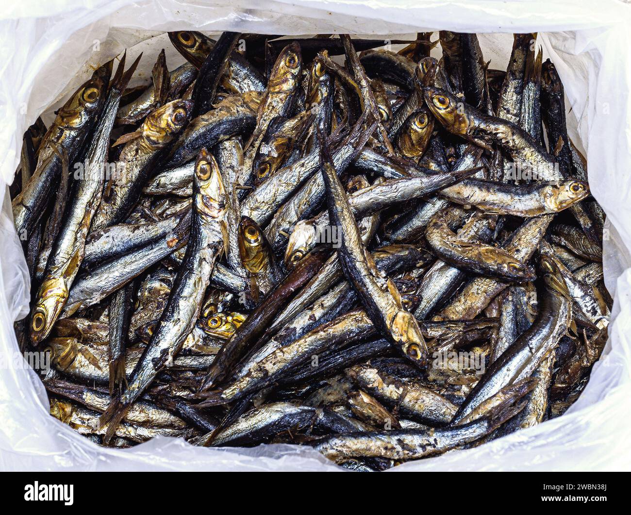 Geräucherte Sardellenfische in der Packung Stockfoto