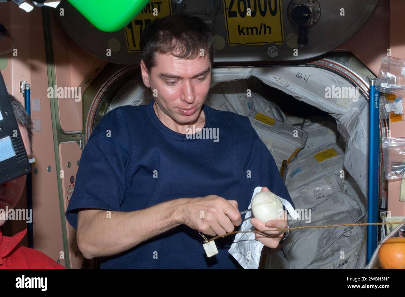 Der russische Kosmonaut Sergej Wolkow, Flugingenieur der Expedition 28, hielt am 24. Juni 2011 eine frische Zwiebel in der Nähe der Galeere im Unity-Knoten der Internationalen Raumstation. Stockfoto
