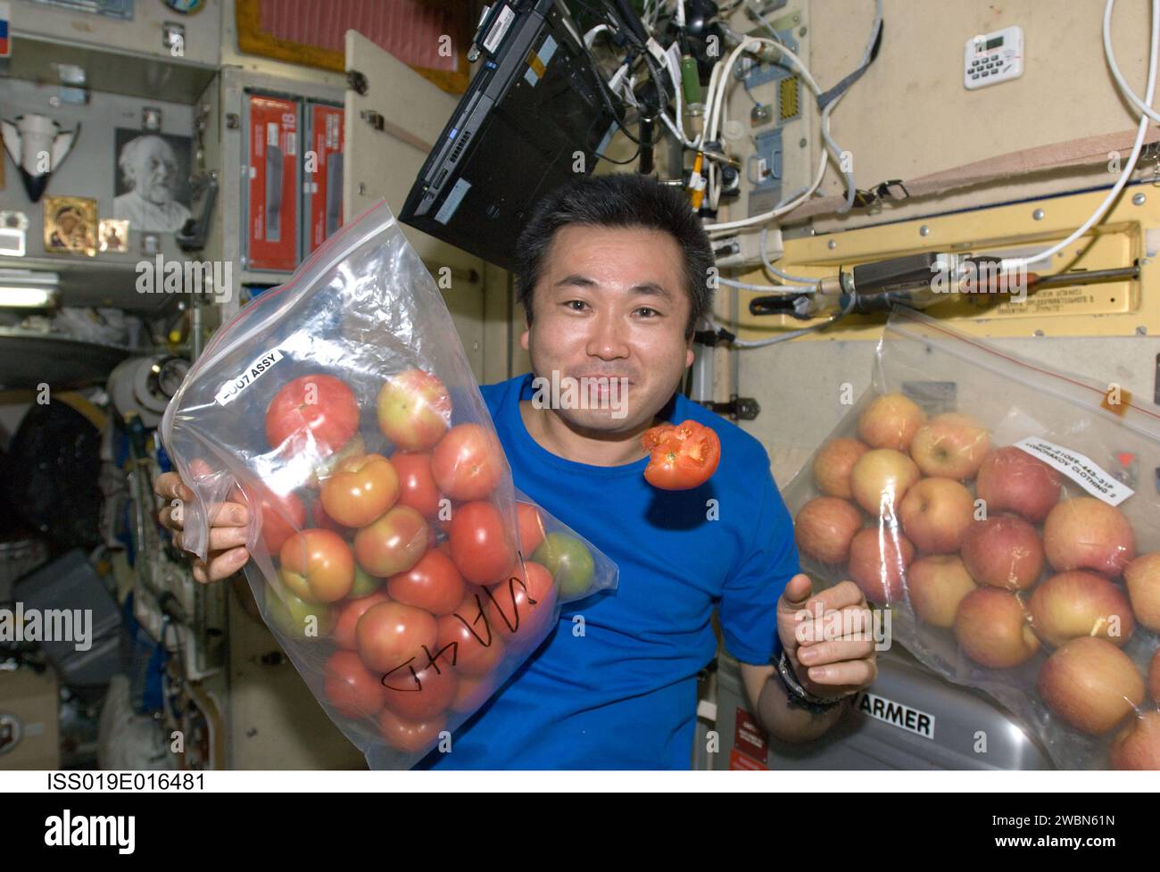 JAXA-Astronaut Koichi Wakata, Flugingenieur der Expedition 19/20, hält frische Tomaten und Äpfel im Zvezda Service Module an Bord der Internationalen Raumstation. Stockfoto