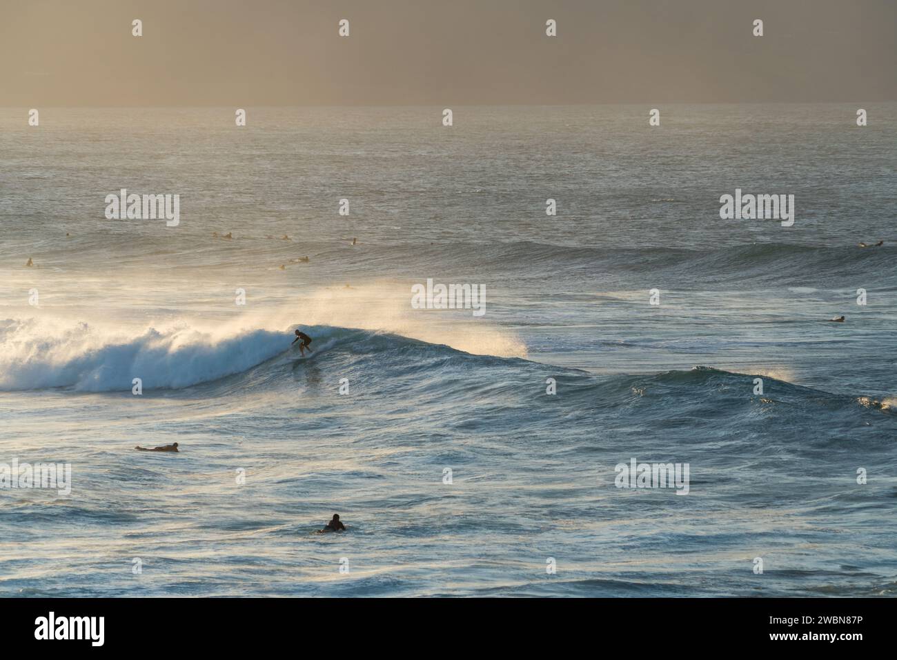 Ein Surfer taucht mit der Sonne in Ho'okipa auf und schneidet sich einen Pfad durch Mauis unberührte Morgenwellen. Stockfoto