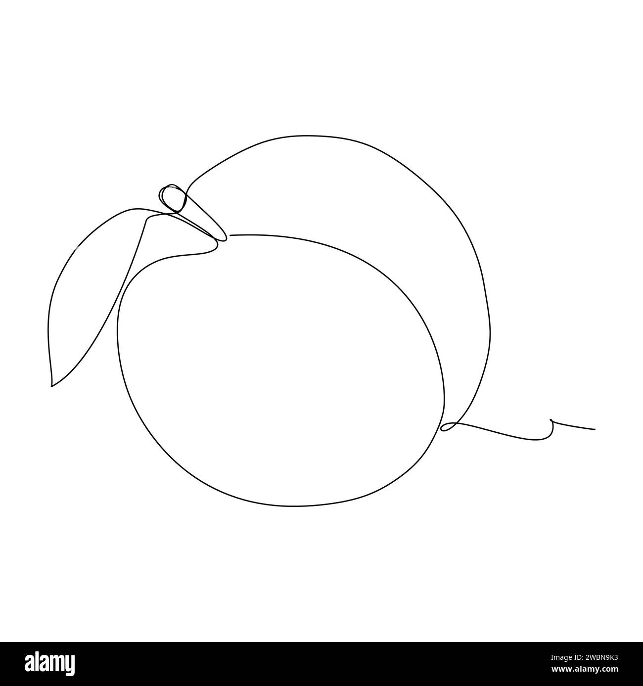 Durchgehende einzeilige Zeichnung einer Pfirsichfrucht auf weißem Hintergrund Stock Vektor