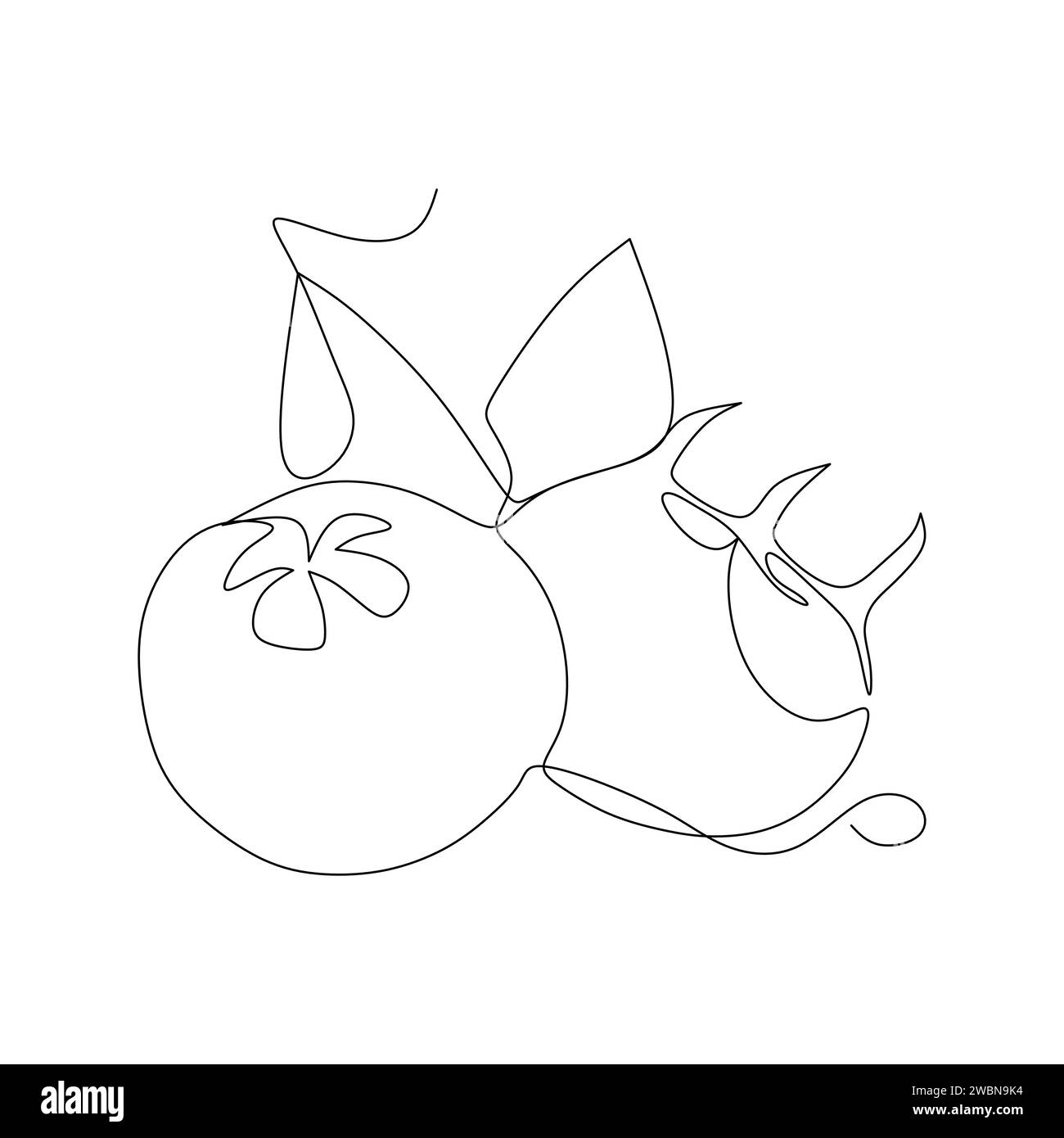 Durchgehende einzeilige Zeichnung von Tomatenfrucht-Symbol-Vektor-Illustration Konzept Stock Vektor