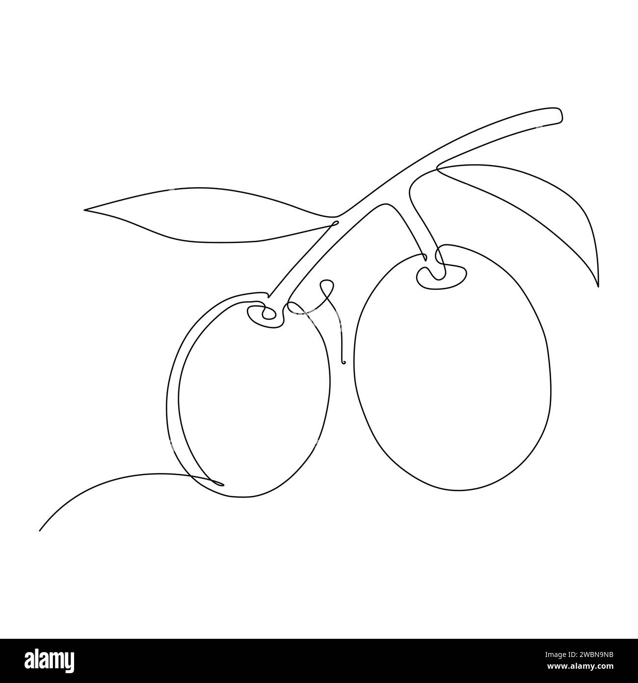 Durchgehende, einzeilige Zeichnung von zwei Oliven auf einer Verzweigung Stock Vektor