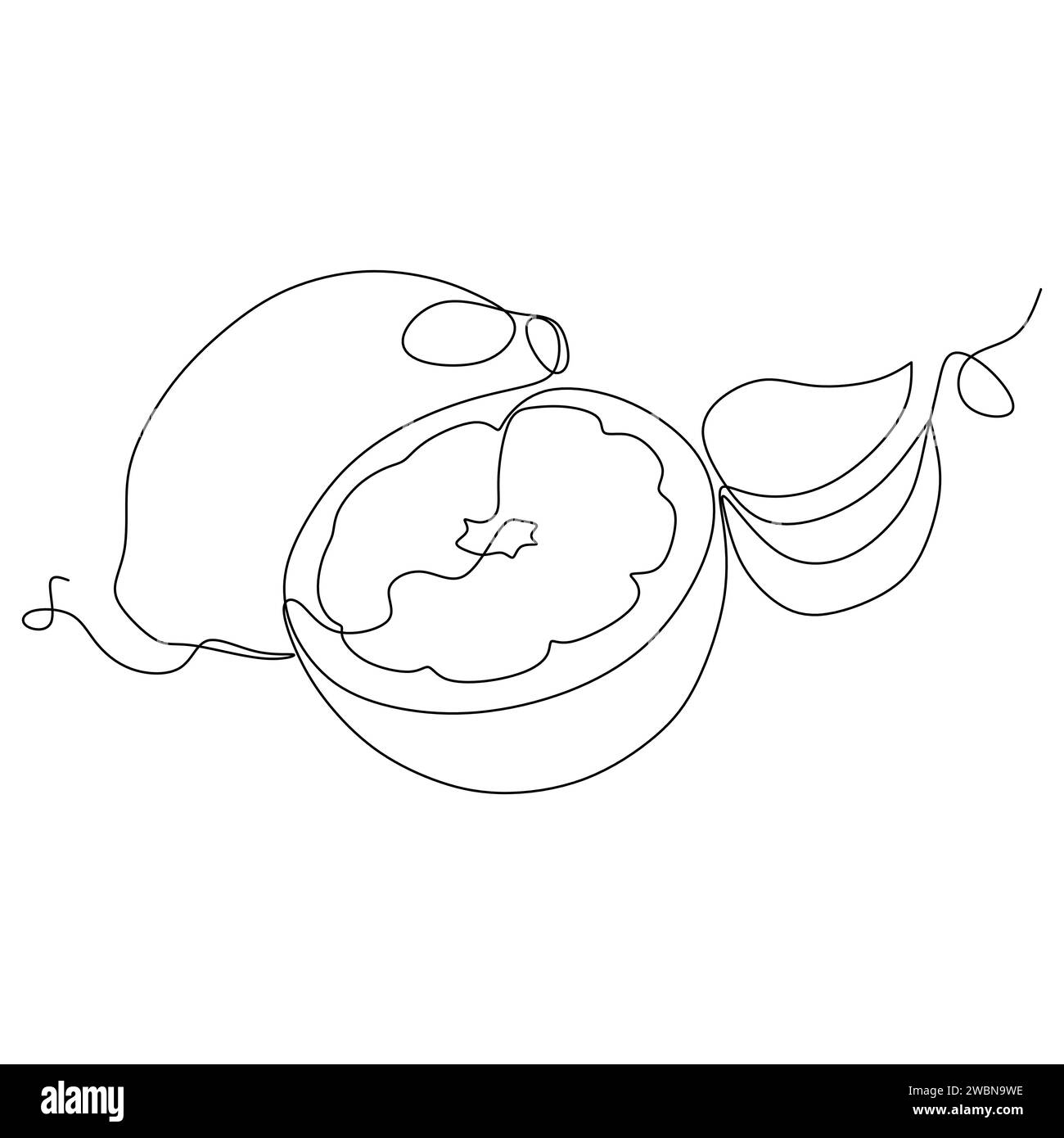 Durchgehende einzeilige Zeichnung des Orangenfrucht-Symbol-Vektor-Illustrationskonzepts Stock Vektor