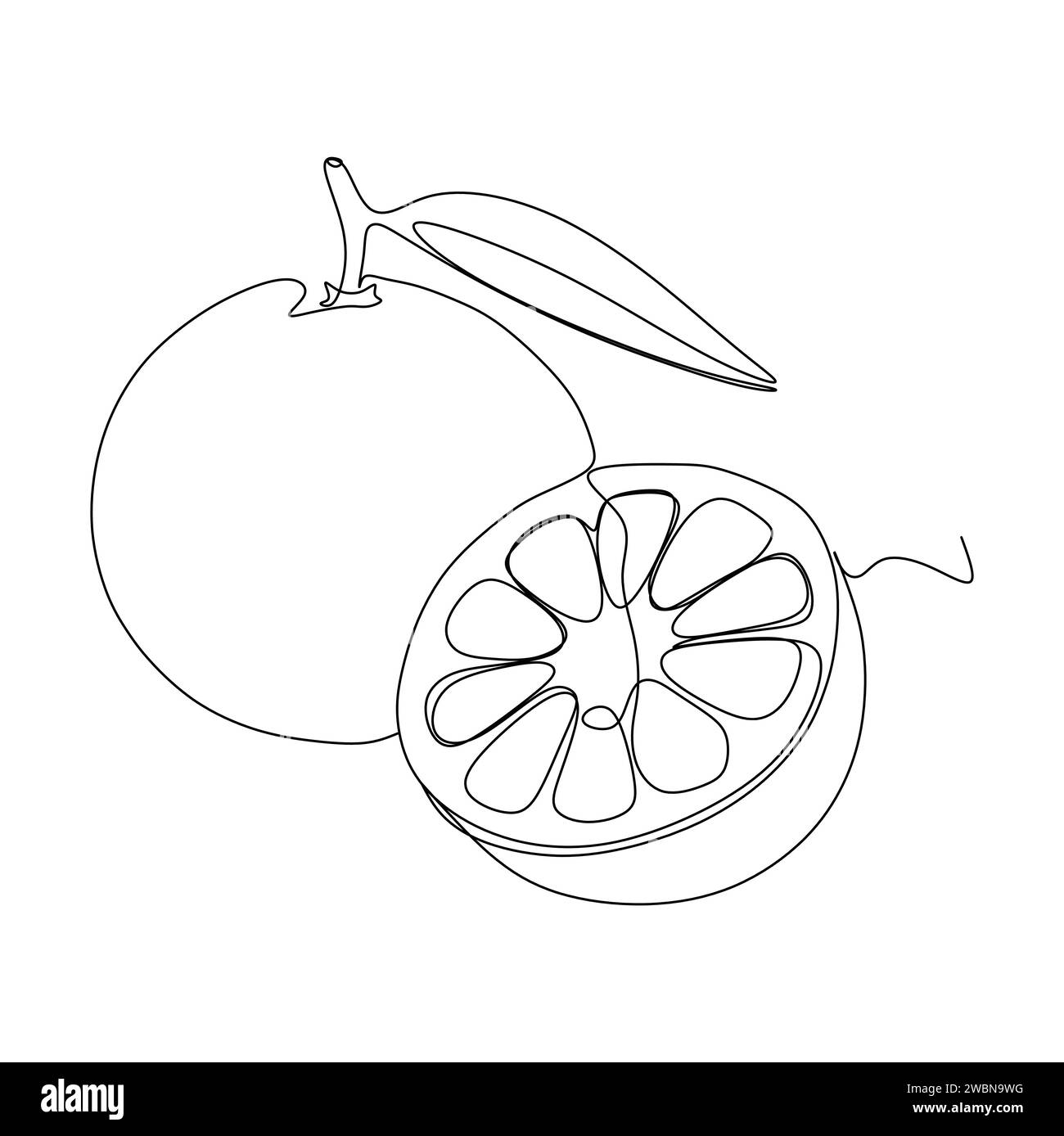 Durchgehende einzeilige Zeichnung frischer Orangenfrüchte auf weißem Hintergrund. Stock Vektor