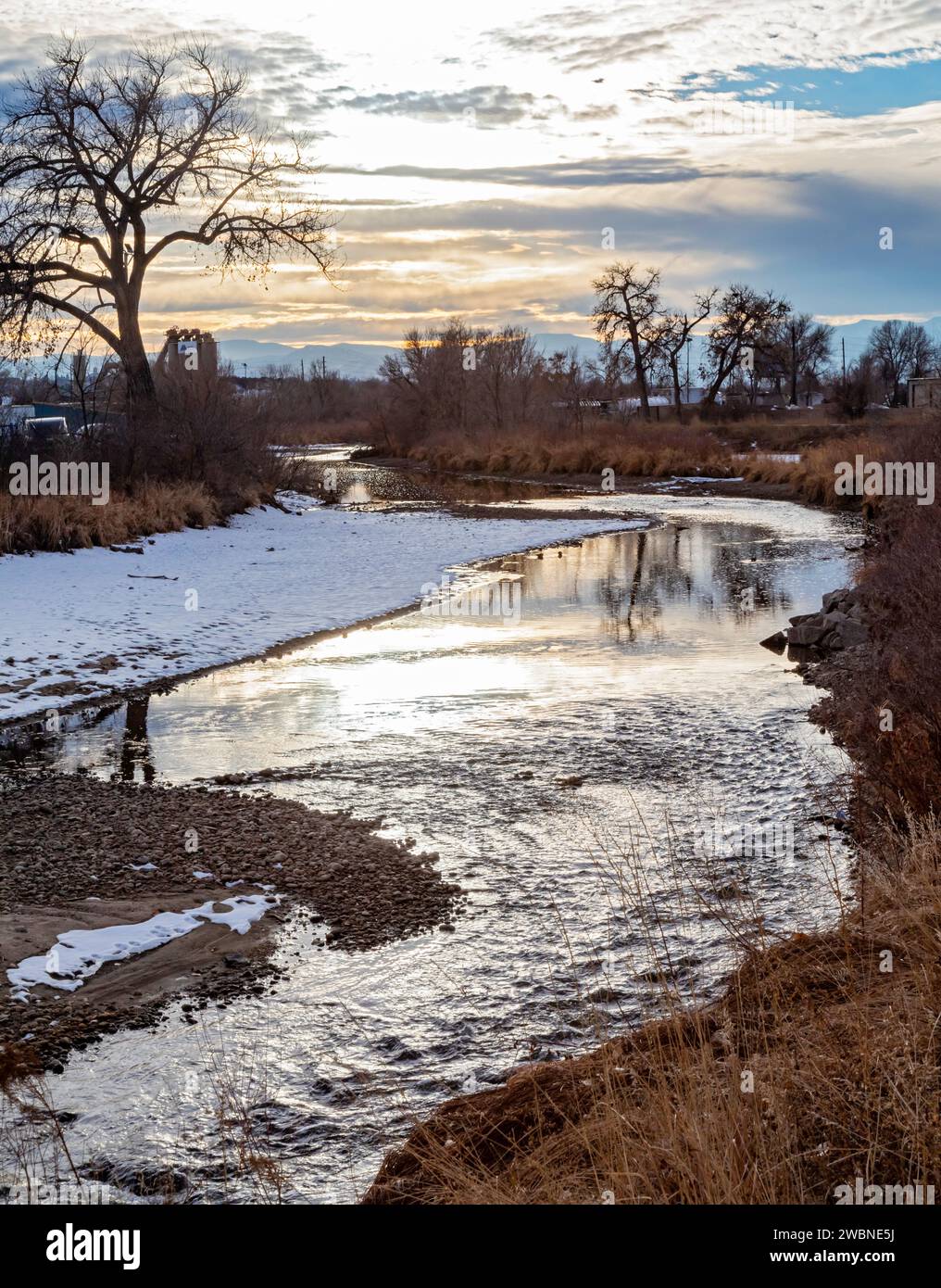 Denver, Colorado – Feuchtgebiete entlang des Clear Creek Trail. Der Wander-/Radweg verläuft 30 km von Golden, Colorado, bis zum South Platte River. Der cr Stockfoto
