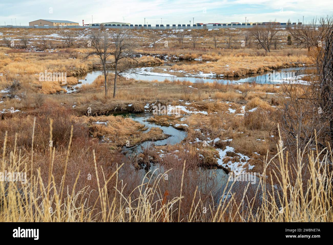 Denver, Colorado – Feuchtgebiete entlang des Clear Creek Trail. Der Wander-/Radweg verläuft 30 km von Golden, Colorado, bis zum South Platte River. Eine Zeile Stockfoto