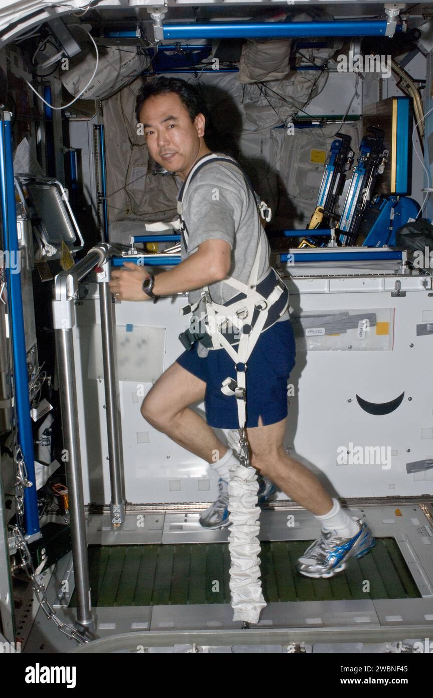 Astronaut Satoshi Furukawa übt auf dem COLBERT-Laufband im Tranquility-Knoten der Internationalen Raumstation mit einem Bungee-Gurtzeug während der Expedition 28. Stockfoto
