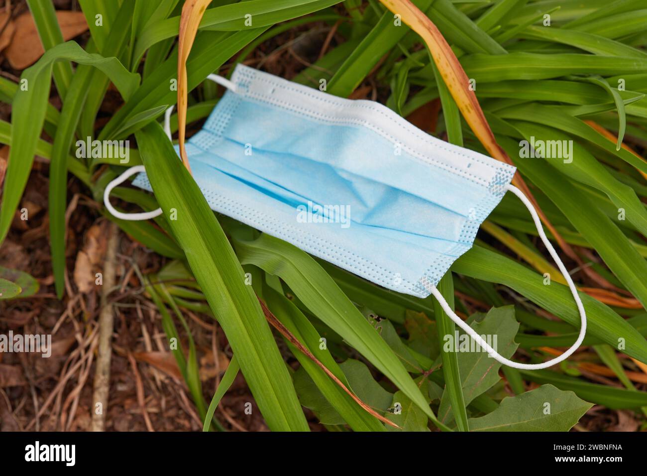 Co-Vid und die Vorteile des Tragens einer Maske zum persönlichen Schutz und zum Schutz anderer Personen in Ihrer Umgebung!! Stockfoto