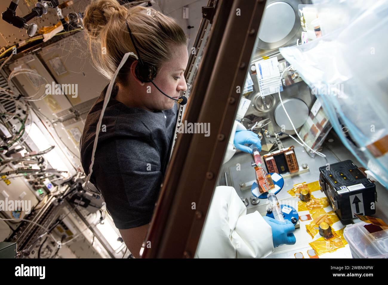 Iss064e015256 (24.12.2020) --- NASA-Astronautin Kate Rubins arbeitet in der Life Sciences Handschuhbox und forscht für die Kardinalherzstudie. Die biomedizinische Forschung soll Wissenschaftlern helfen, das Altern und die Schwächung der Herzmuskulatur zu verstehen, um neue Therapien für Menschen auf der Erde und Astronauten im Weltraum zu bieten. Stockfoto