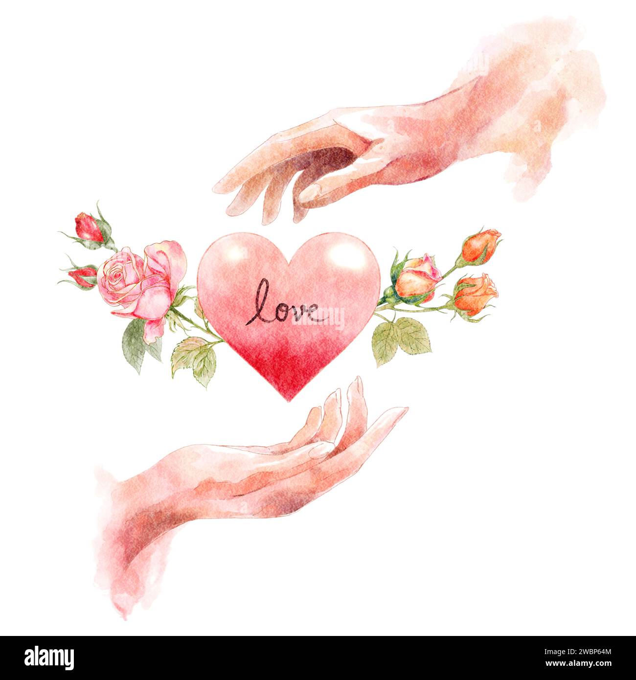 Menschliche Hand mit Herz und Rose. Aquarellmalerei. Valentinstag-Konzept. Isolierter weißer Hintergrund. Abbildung . Stockfoto