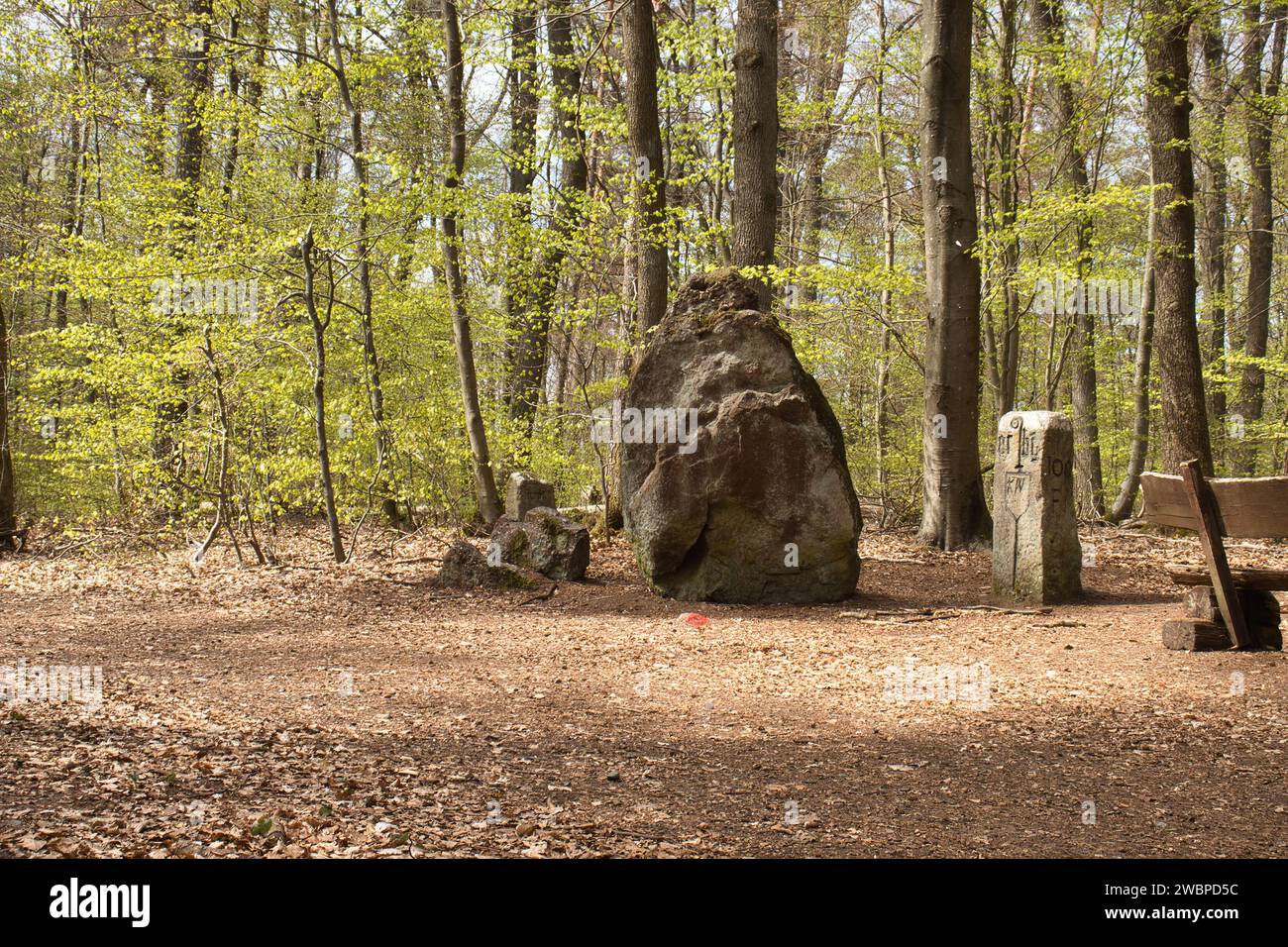 Felsen- und Steindenkmäler am Hinkelstein-Denkmal im Pfälzerwald an einem Frühlingstag. Stockfoto