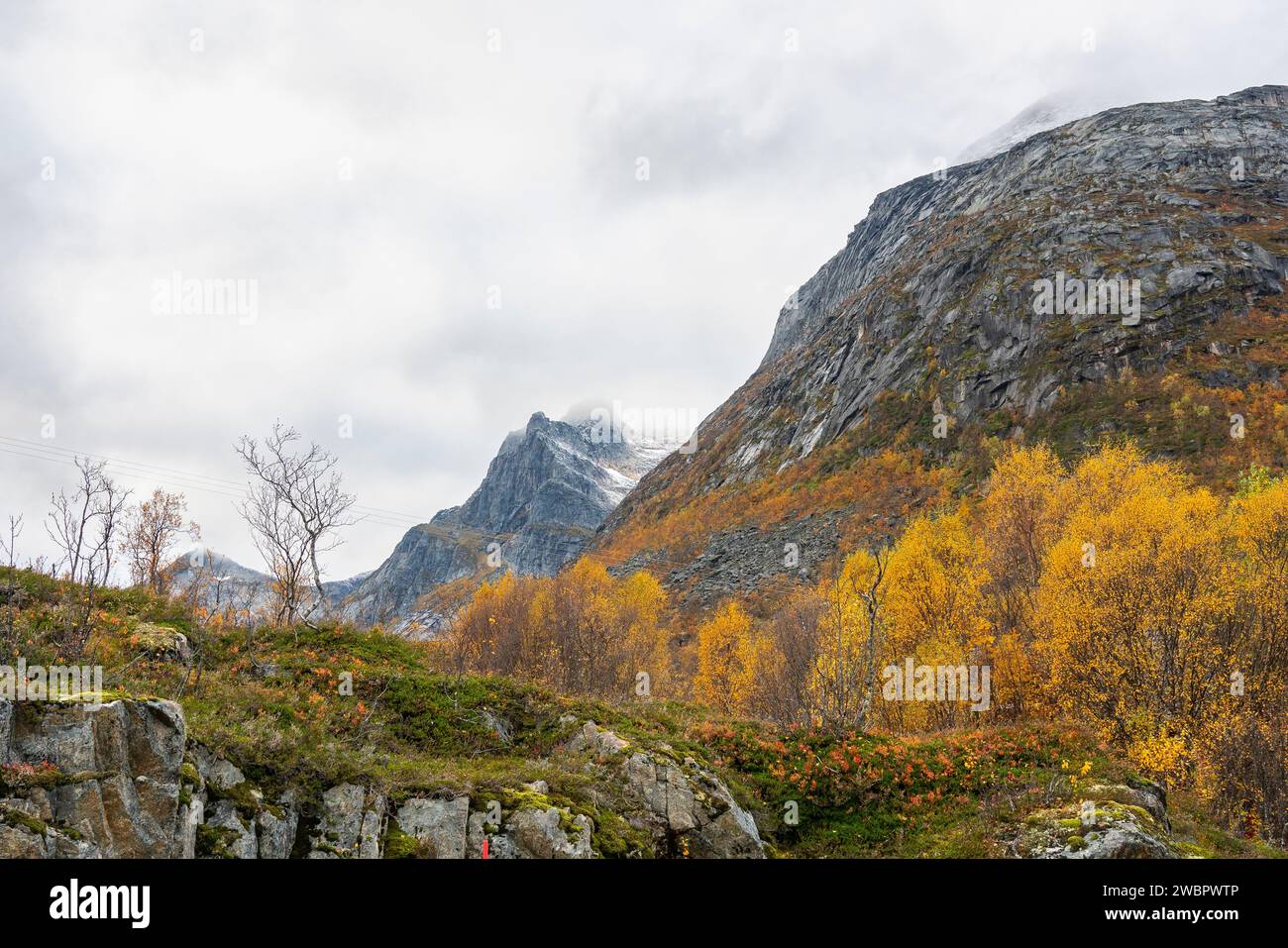 Auf der kurvenreichen und geraden Straße in den Bergen auf der Insel Kvaløya, Troms, Norwegen. Herbstabenteuer auf der Straße zwischen felsigen Gipfeln und Fjorden Stockfoto