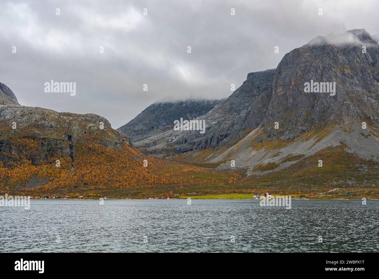 Im Freien in wilder Natur aus Norwegen mit Fjord, herbstbunten Bäumen, Pflanzen, felsigem Gipfel auf der Insel Kvaløya, See in Troms, über dem Polkreis Stockfoto