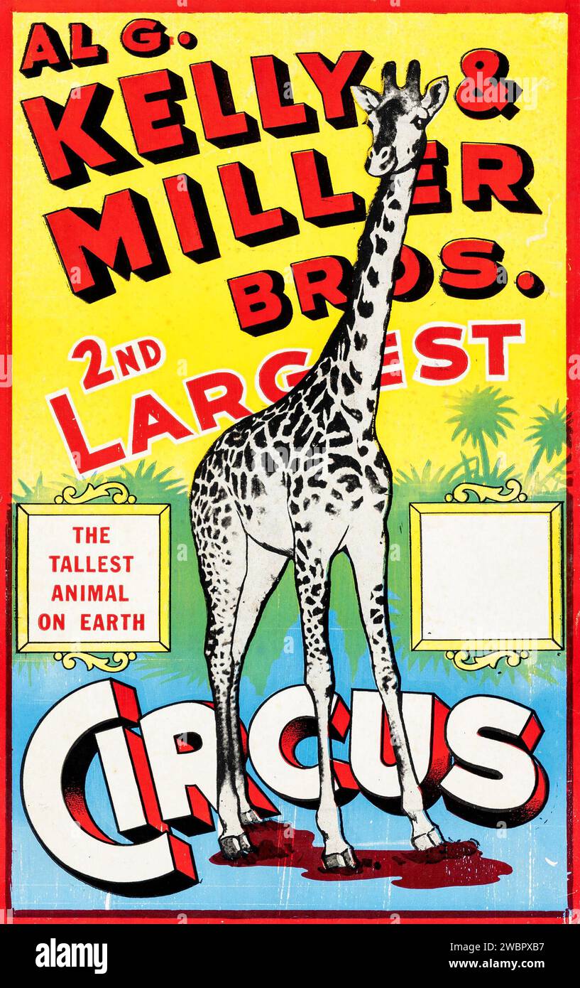 Al G. Kelly & Miller Bros. Zirkus-Poster (Al G. Kelly & Miller Bros., 1950er) Circus Window Card feat the Tallest Animal on Earth – A Giraffe Stockfoto