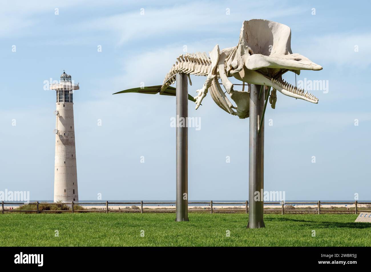Skelett eines Spermawals. Freilichtmuseum mit natürlichem Walskelett in der Nähe des Leuchtturms Morro Jable, Jandía, Fuerteventura, Kanarischen Inseln, Spanien. Stockfoto