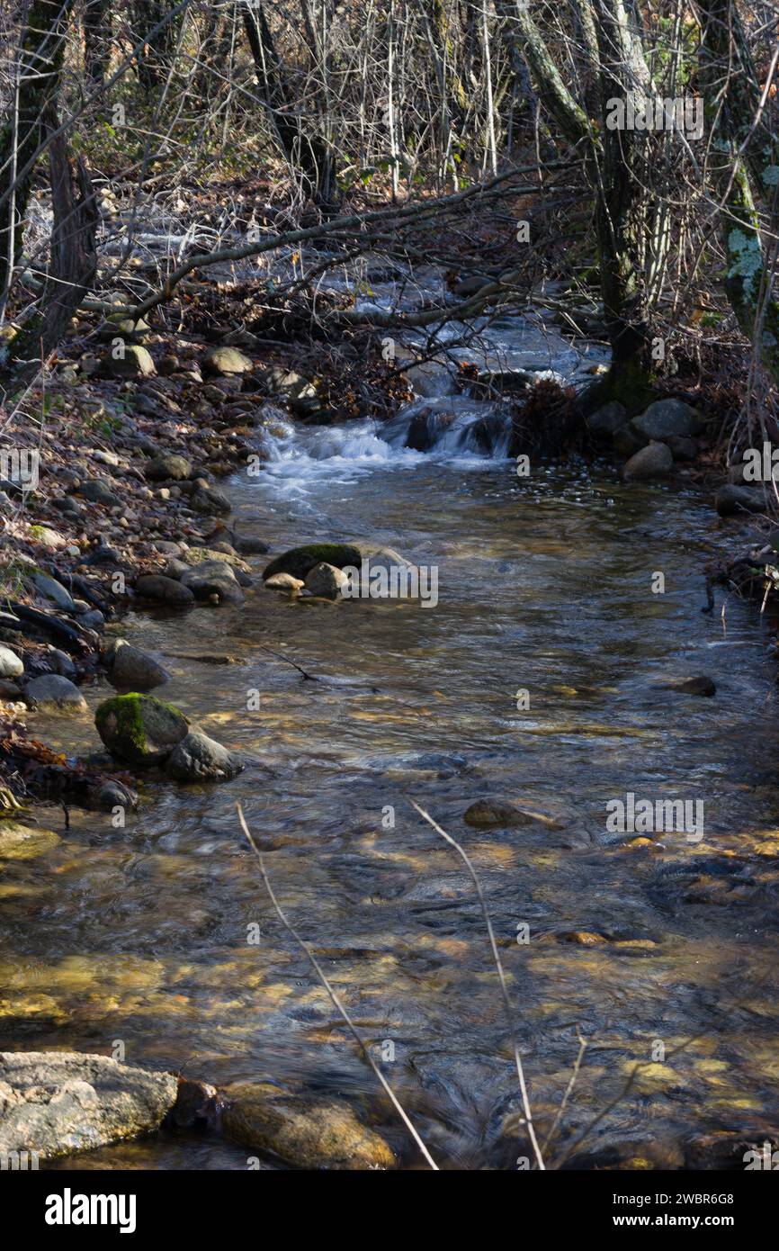 Blick auf einen fließenden Gebirgsbach in der Sierra de Guadarrama in der Nähe von Madrid, Spanien Stockfoto