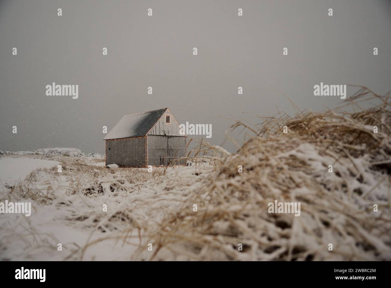 Kleiner Hüttenschuppen auf verschneiten Böden im Winter mit trockenem Gras Stockfoto