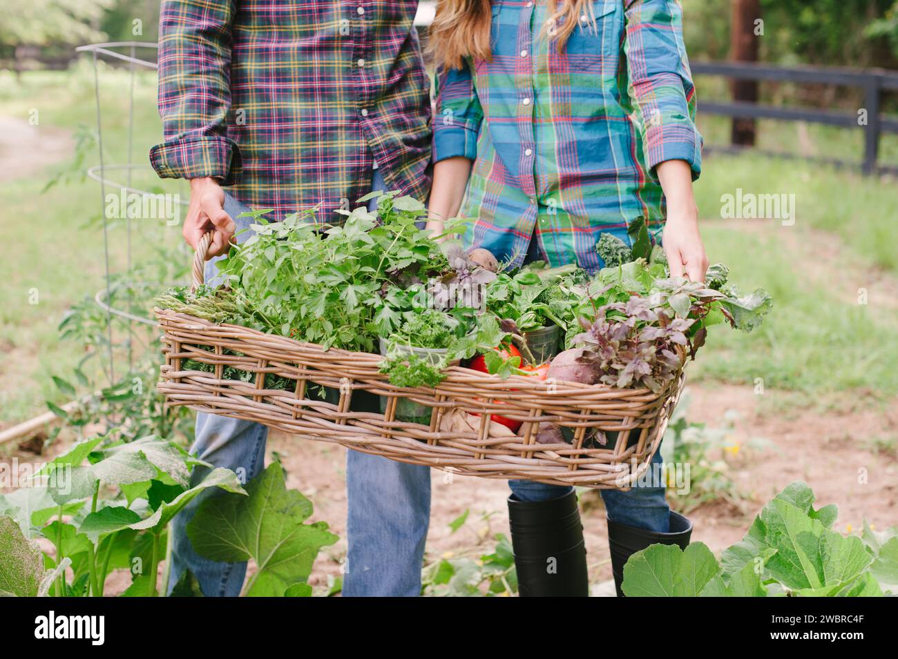 Country Gardening Country Setting South Carolina Stockfoto