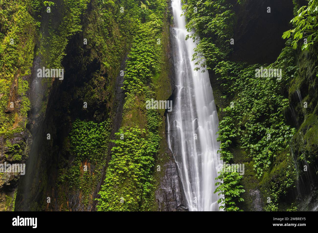 Versteckter Wasserfall in der Nähe von Sekumpul, Bali Island, Indonesien Stockfoto