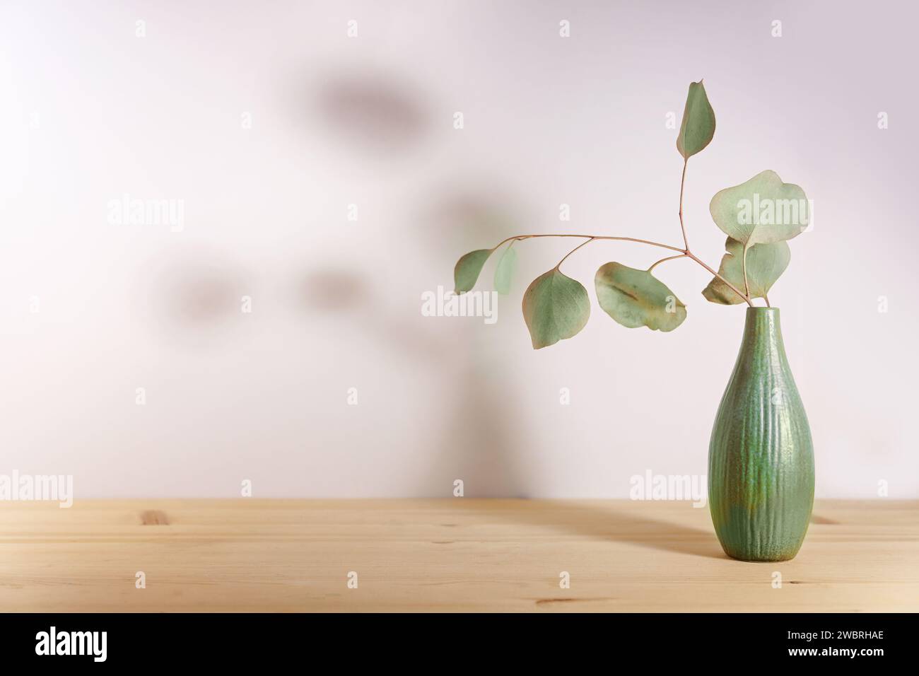 Salbeigrüne Keramikvase und ein kleiner Eukalyptuszweig mit sanften Schatten vor einer warmen Wand auf einem Holztisch, minimale Stilllebensdauer als Produkt bac Stockfoto