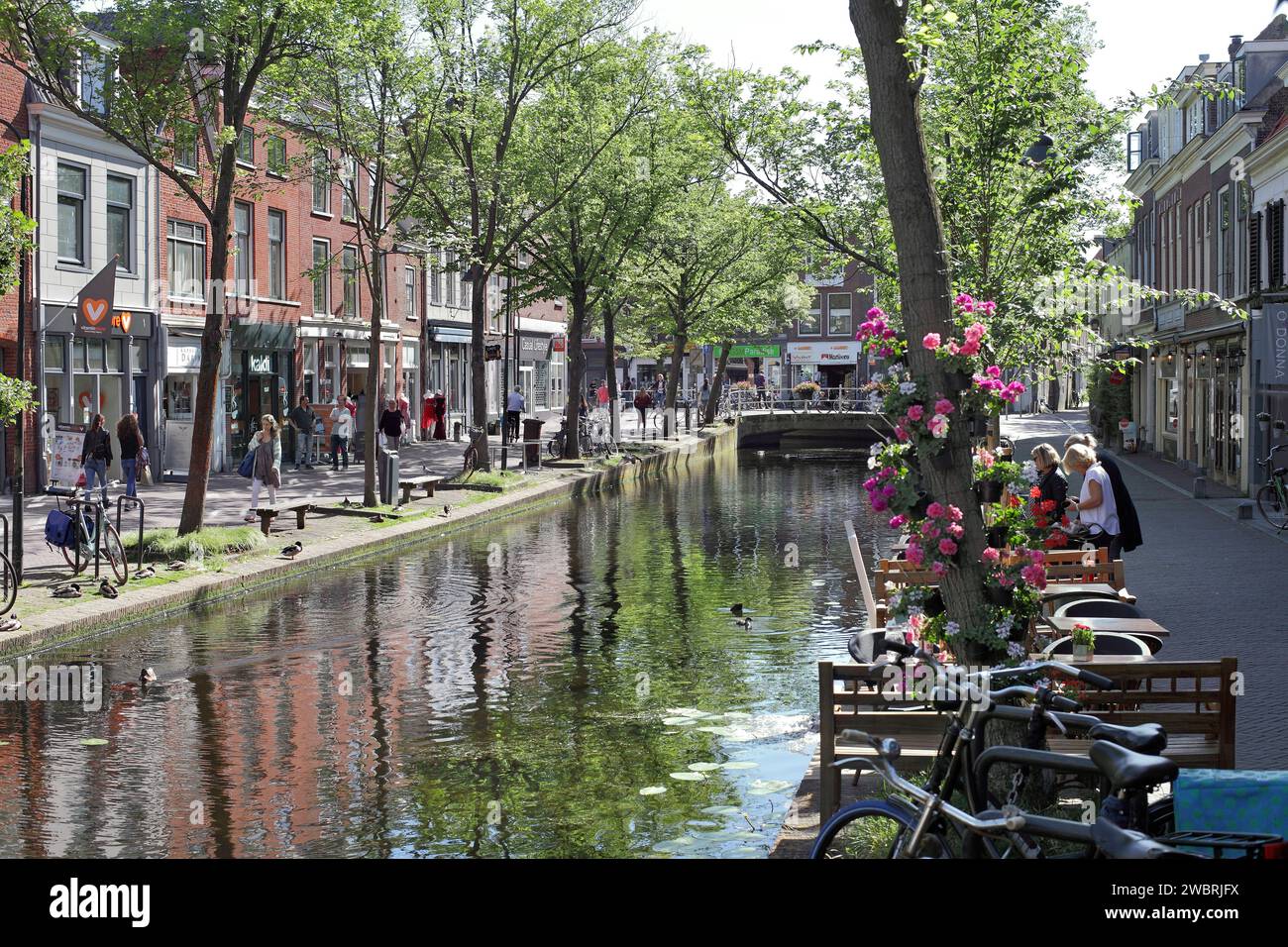 Molslaan, eine von Bäumen gesäumte Fußgängerzone auf beiden Seiten eines Kanals, am Rande des Stadtzentrums von Delft. Stockfoto