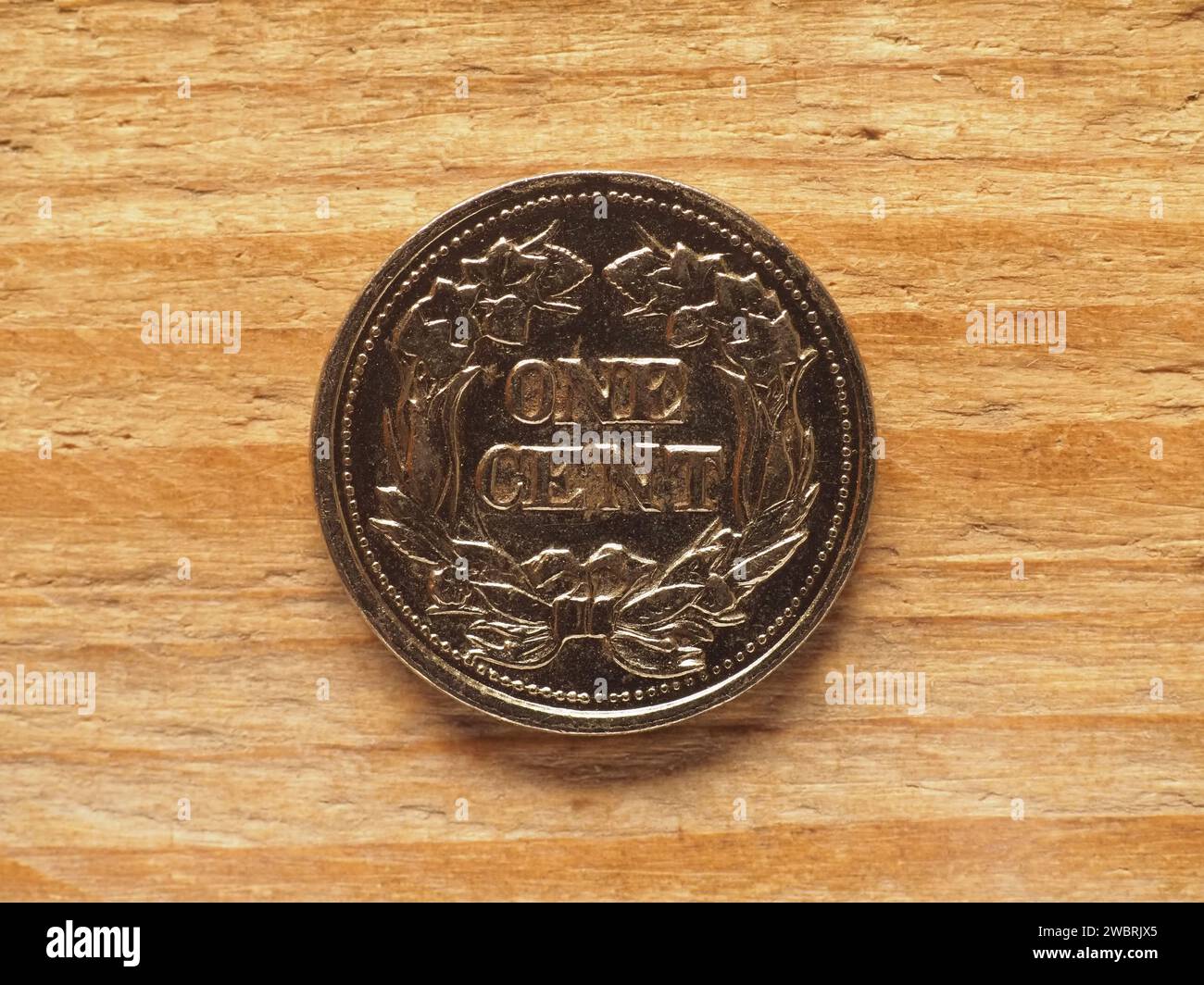Währung Der Vereinigten Staaten 1 Dollar Cent Münze Umgekehrt Stockfoto