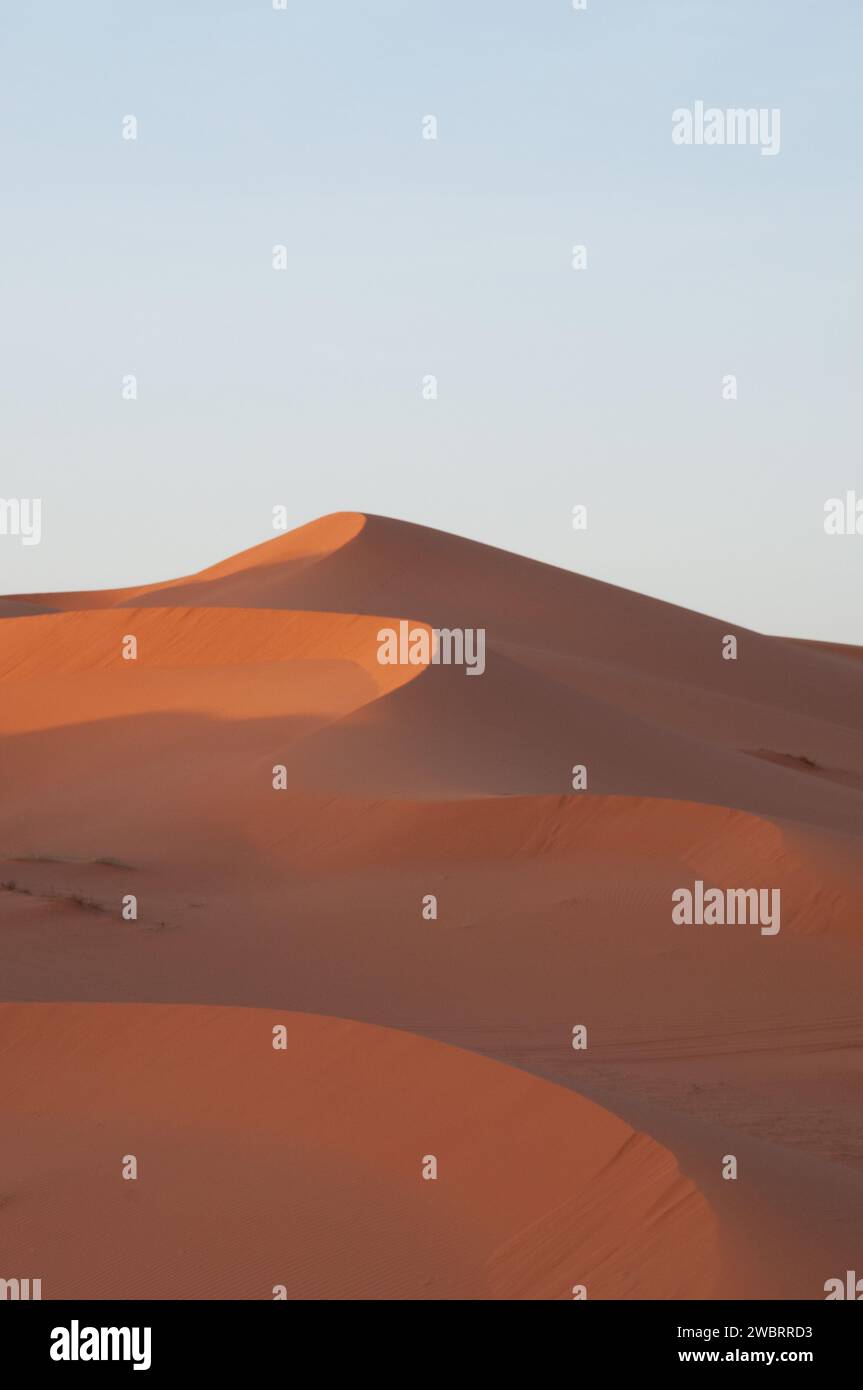 Marokkanische Sahara-Wüste. Landschaft der Sanddünen mit niedriger Sonne und blauem Himmel Stockfoto