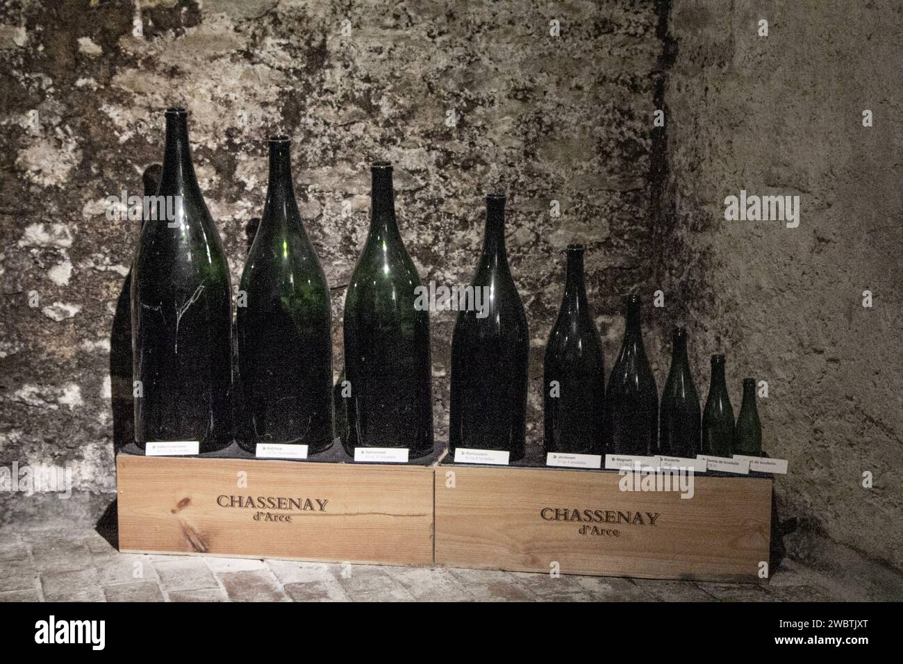 Neun der 14 verfügbaren Champagnerflaschen in verschiedenen Größen, ausgestellt in Chassenay d’Arce, einer Genossenschaft der Champagnerproduzenten in Ville-sur-Arce, Frankreich. Stockfoto