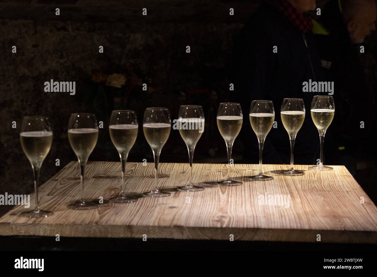 Champagner füllt neun Stielgläser im Coopérative Chassenay d'Arce bei Troyes, Frankreich. Stockfoto