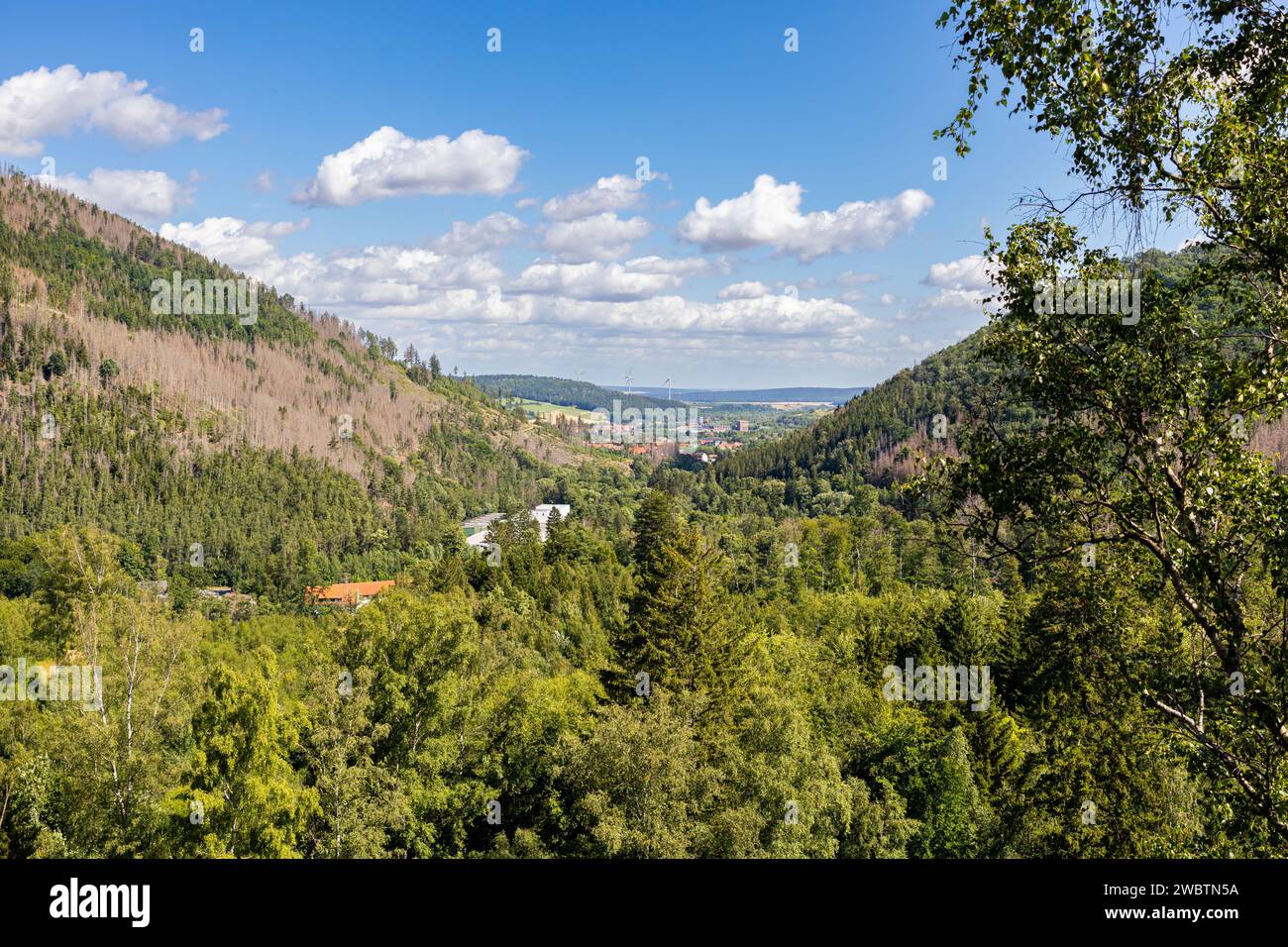 Wandern Sie im Okertal Harz Stockfoto