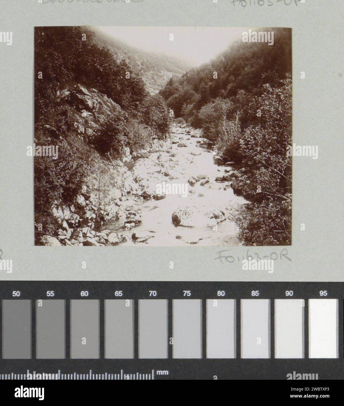 Ansicht eines Bergbeek, vermutlich in der Auvergne, 1902 Foto Teil des Fotoalbums eines französischen Amateurfotografen mit Aufnahmen von Reisen in Frankreich, Spanien, Belgien, Luxemburg und den Niederlanden, den ersten Autos und Autorennen. Auvergne-Papier. Fotografischer Stützbach. dale, Tal der Auvergne Stockfoto