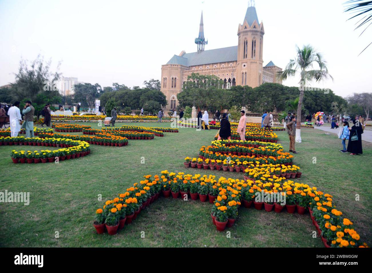Das jährliche Marigold Festival, das von der Karachi Municipal Corporation (KMC) am Freitag, den 12. Januar 2024 in der Frere Hall in Karachi veranstaltet wird, ist für die Blumen interessant. Stockfoto